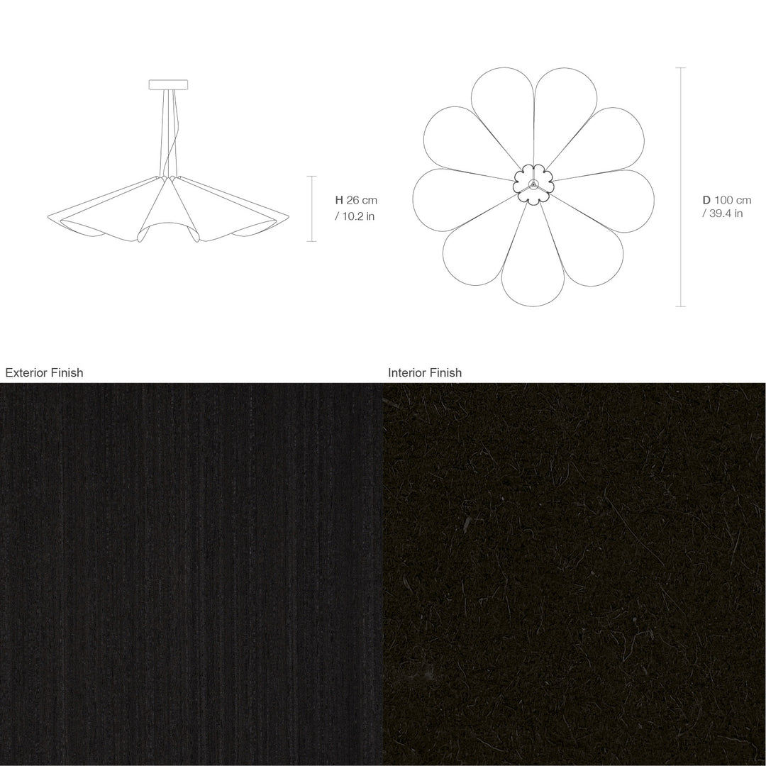 Delfina 100 Acoustic