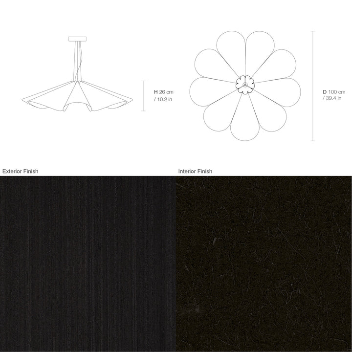Delfina 100 Acoustic