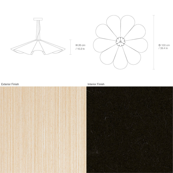 Delfina 100 Acoustic