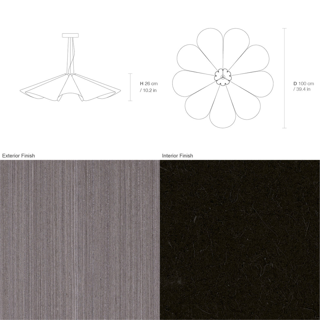 Delfina 100 Acoustic