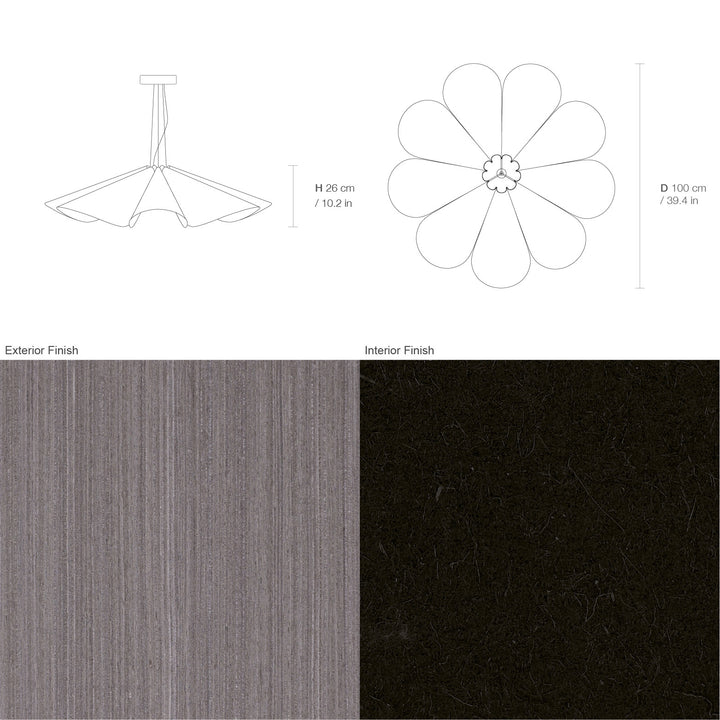 Delfina 100 Acoustic