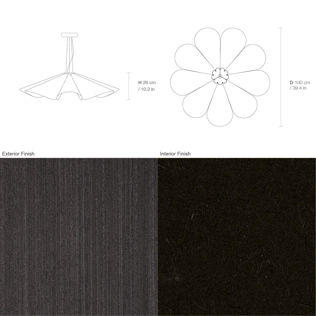 Delfina 100 Acoustic