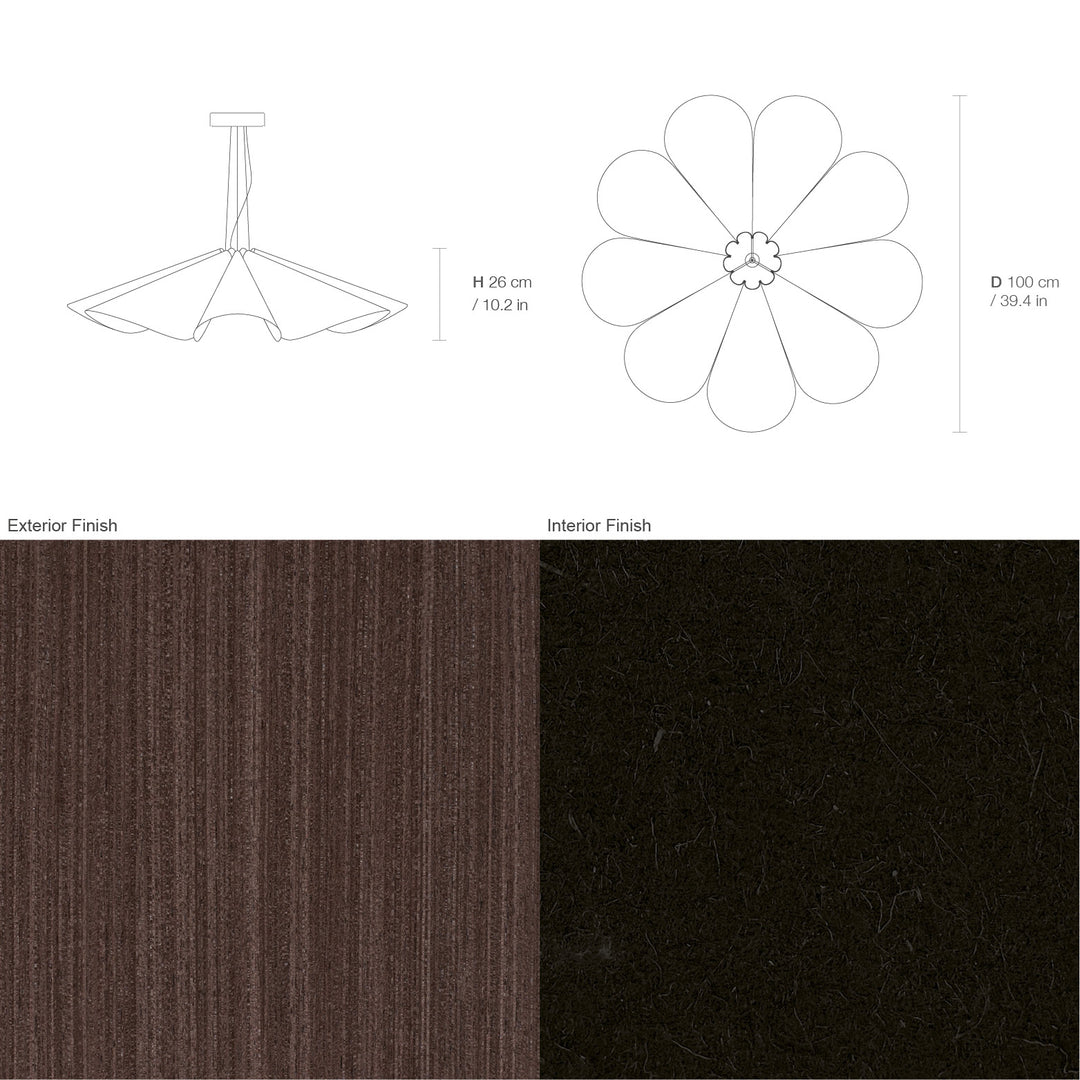 Delfina 100 Acoustic