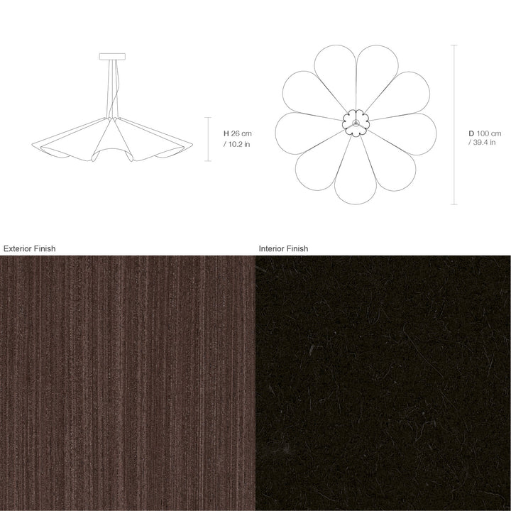 Delfina 100 Acoustic