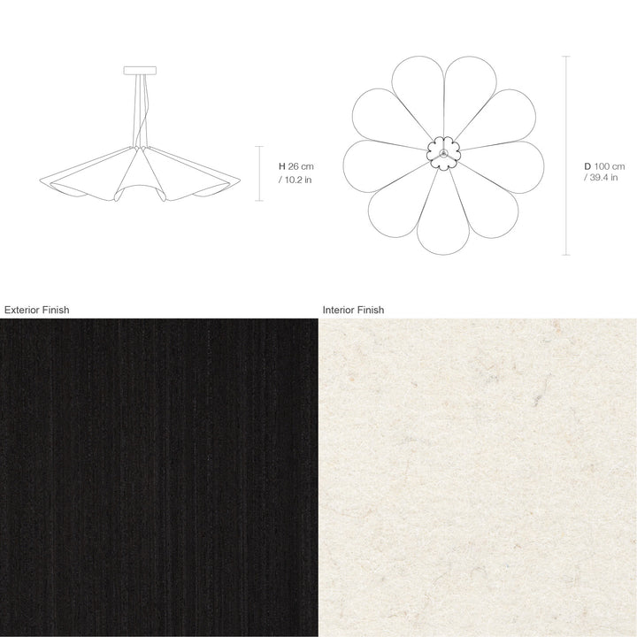Delfina 100 Acoustic
