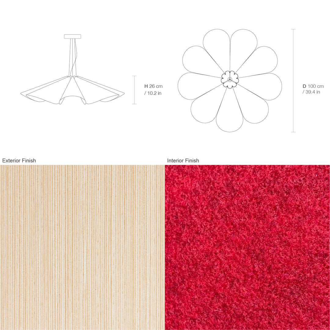 Delfina 100 Acoustic