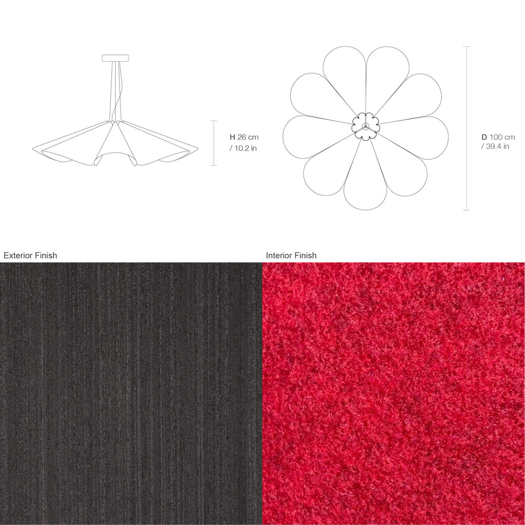 Delfina 100 Acoustic