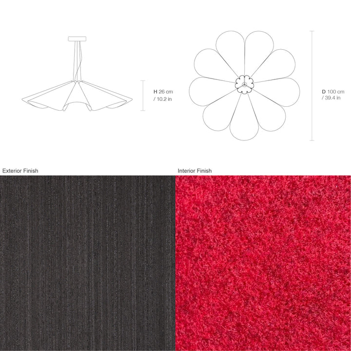 Delfina 100 Acoustic