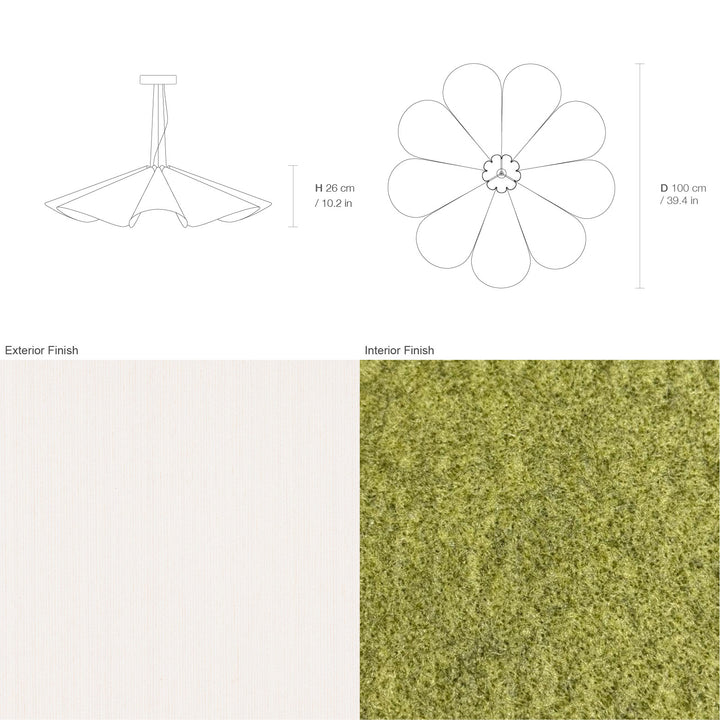 Delfina 100 Acoustic