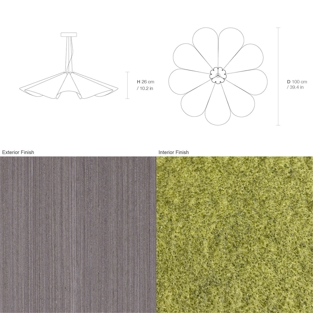 Delfina 100 Acoustic