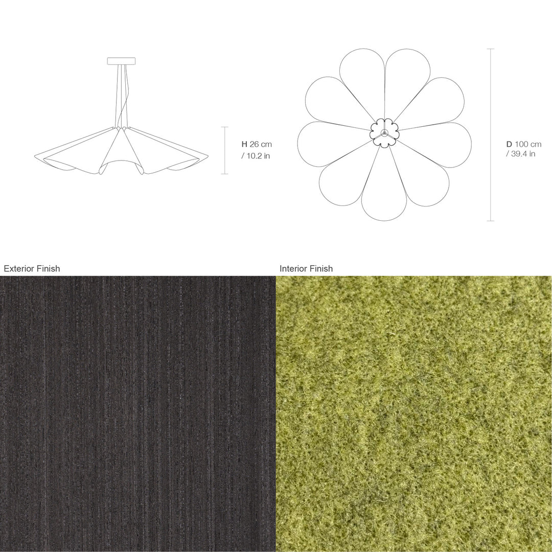 Delfina 100 Acoustic