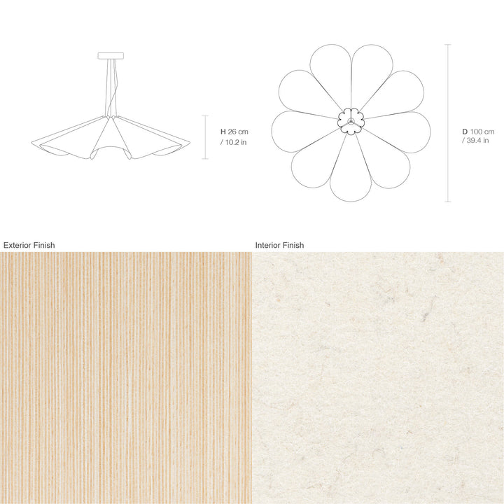 Delfina 100 Acoustic