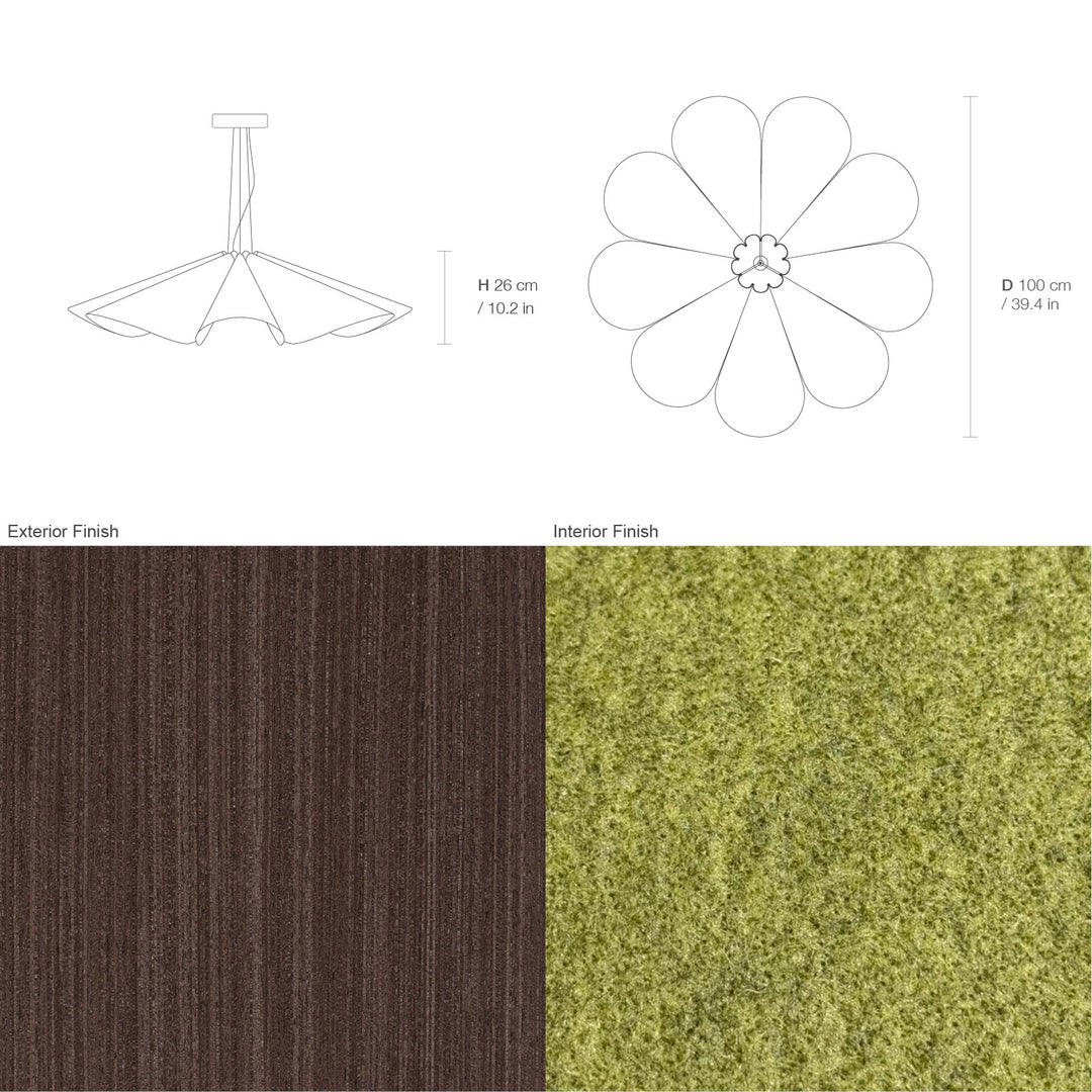 Delfina 100 Acoustic
