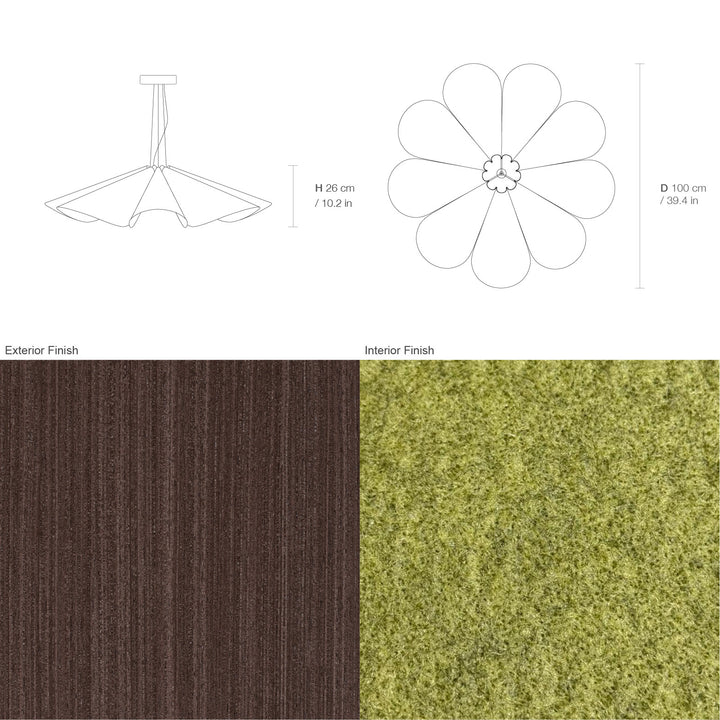 Delfina 100 Acoustic