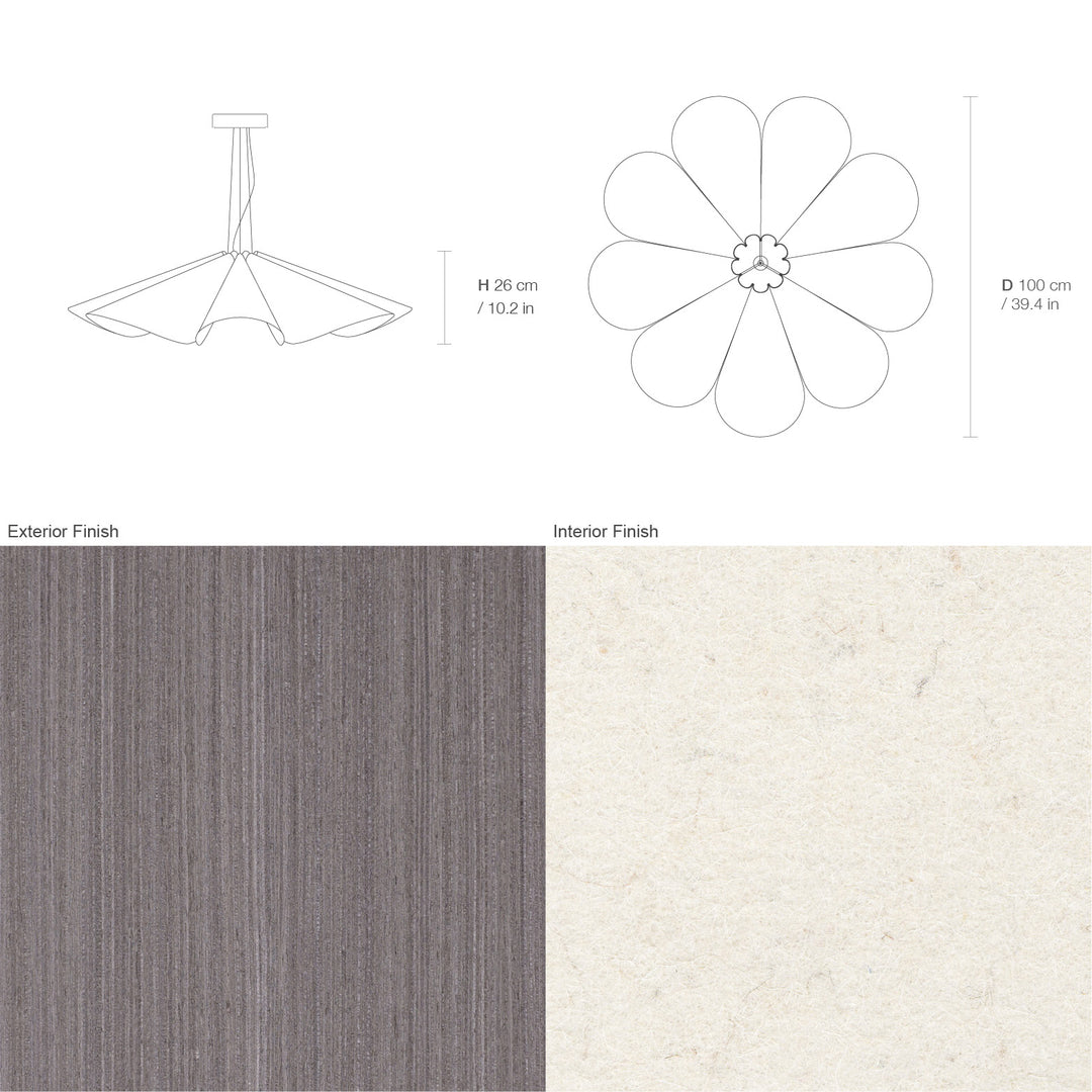 Delfina 100 Acoustic