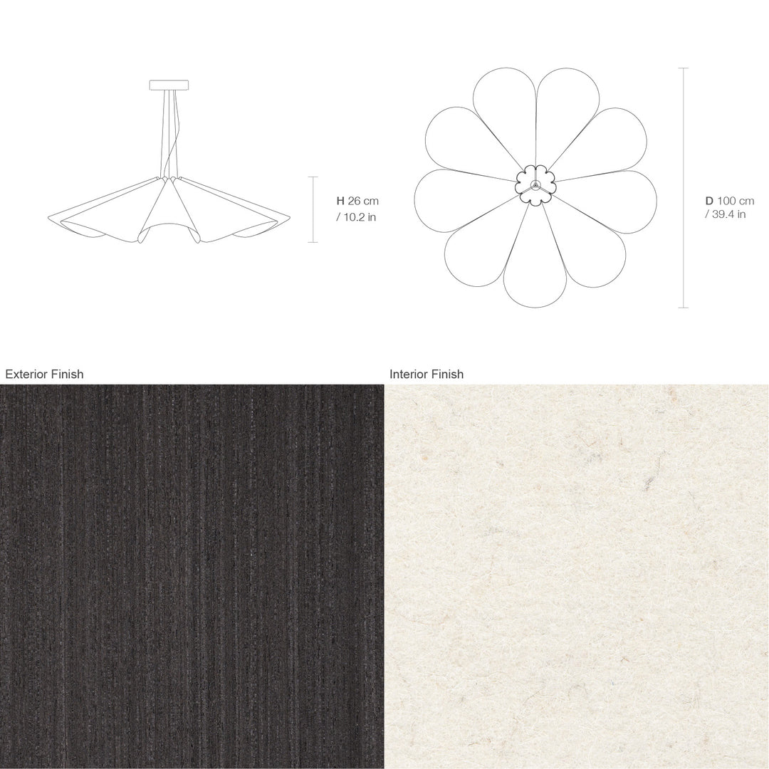 Delfina 100 Acoustic