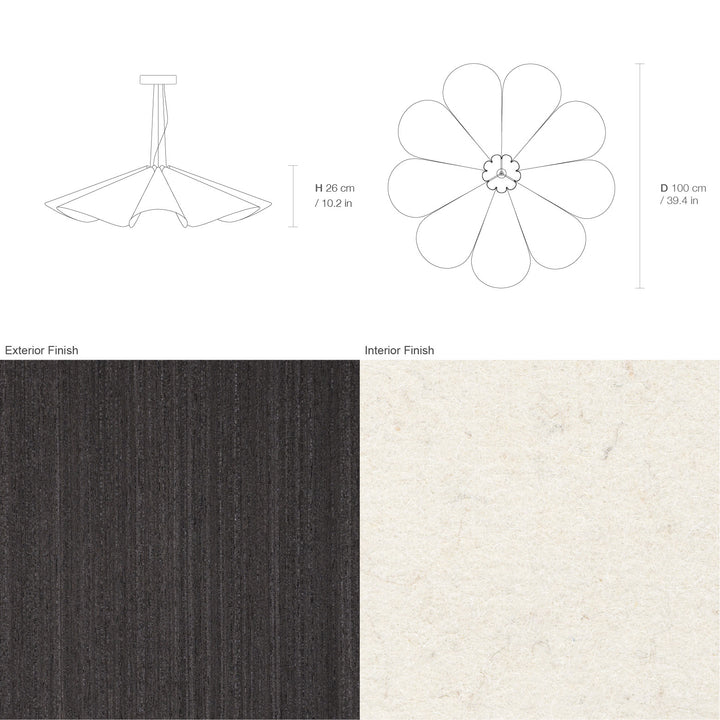 Delfina 100 Acoustic