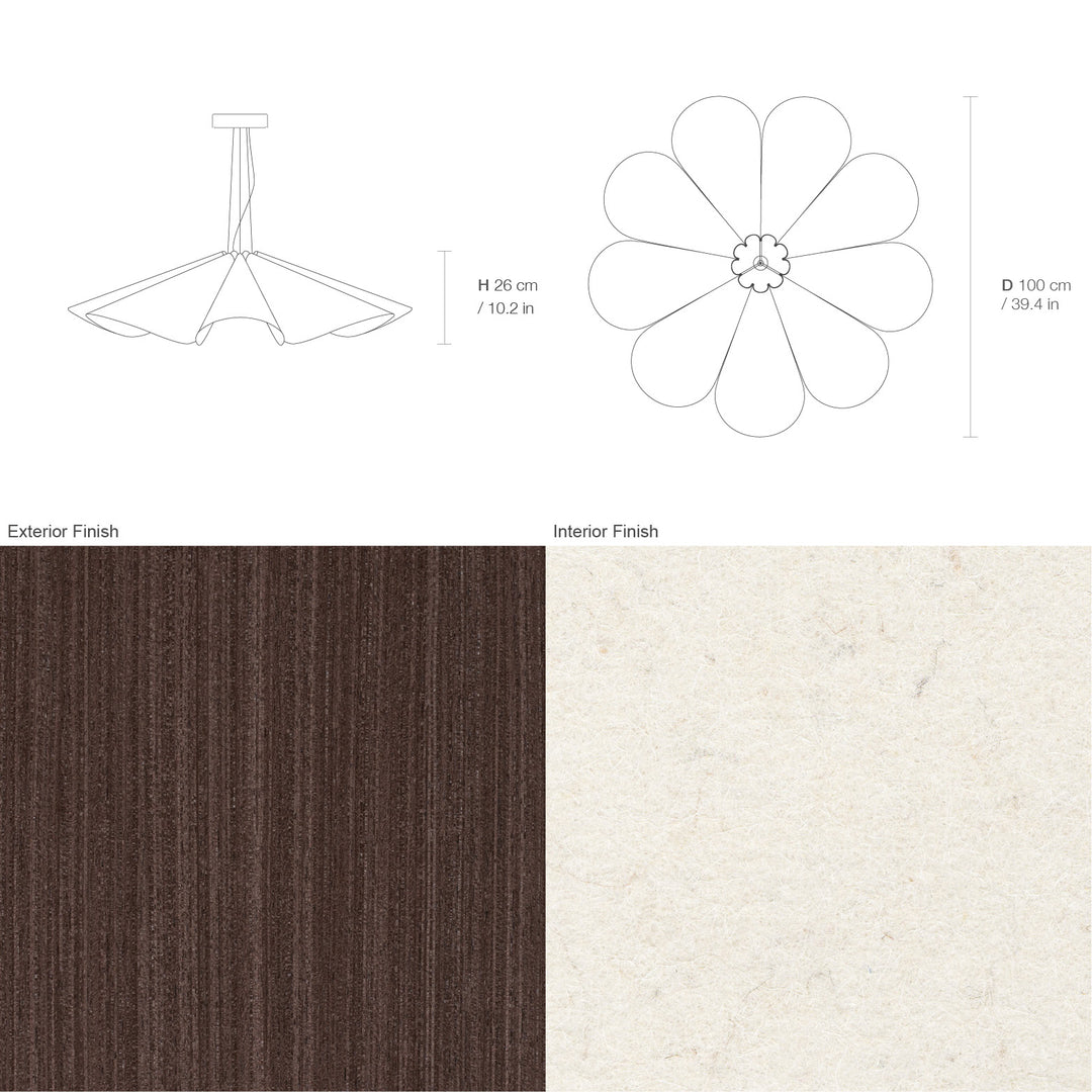 Delfina 100 Acoustic
