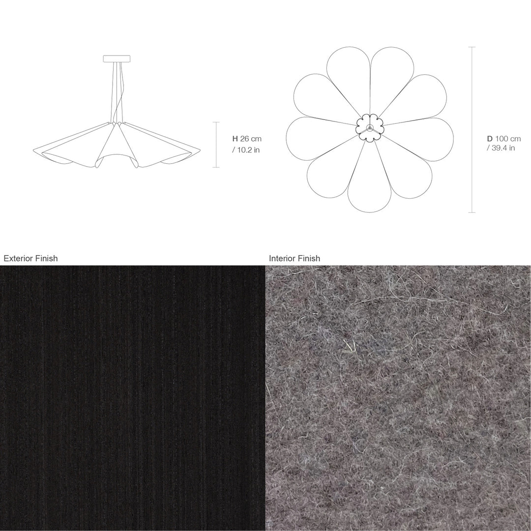Delfina 100 Acoustic