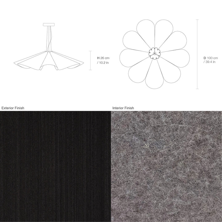 Delfina 100 Acoustic