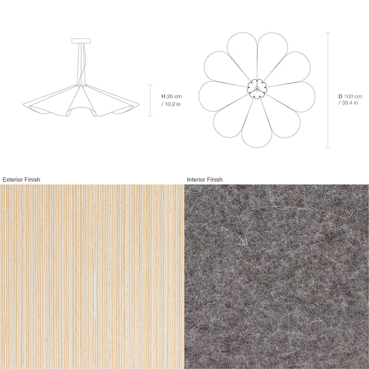 Delfina 100 Acoustic