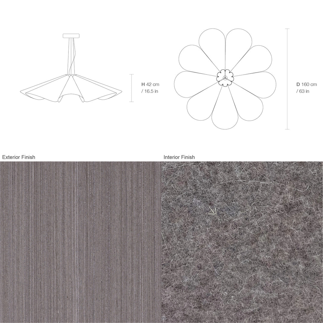 Delfina 160 Acoustic