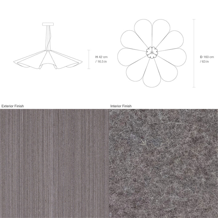Delfina 160 Acoustic