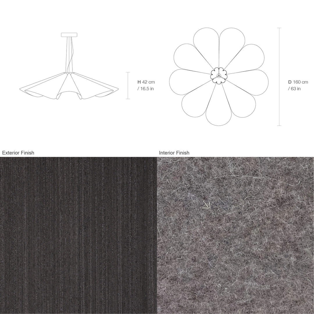 Delfina 160 Acoustic
