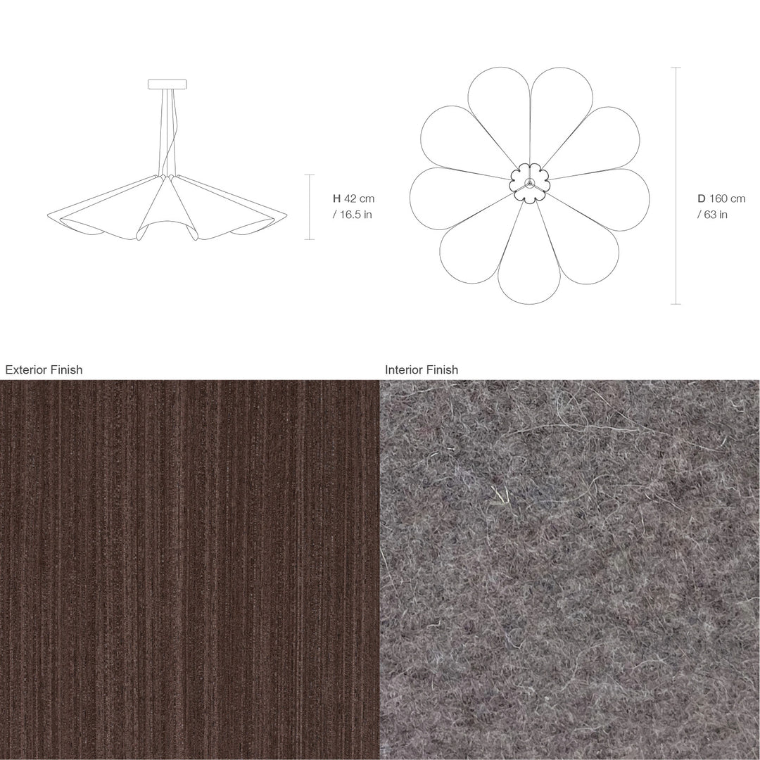Delfina 160 Acoustic