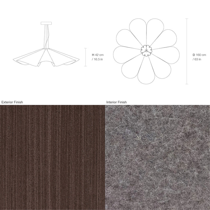 Delfina 160 Acoustic