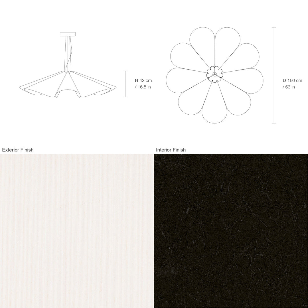 Delfina 160 Acoustic