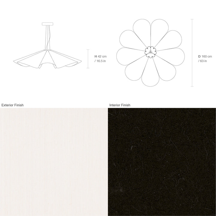 Delfina 160 Acoustic