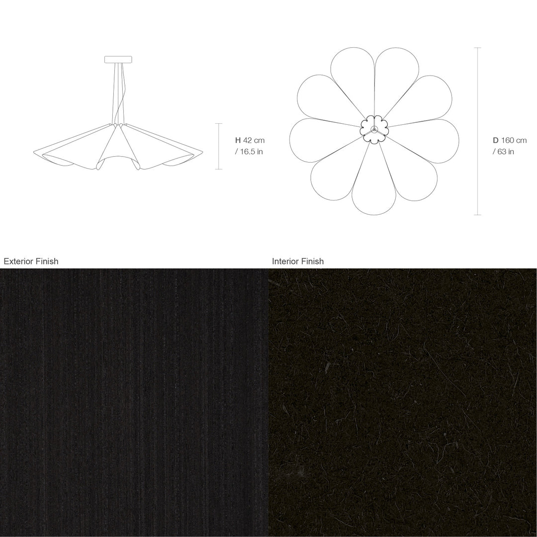 Delfina 160 Acoustic