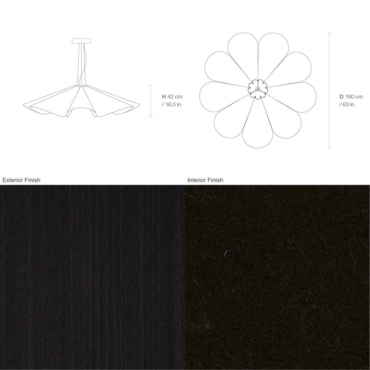 Delfina 160 Acoustic
