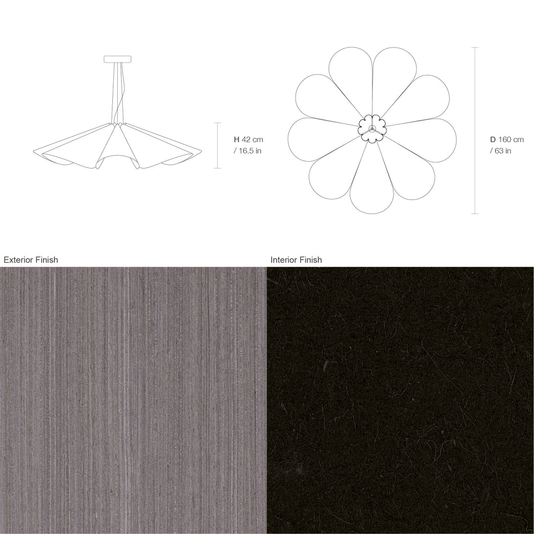 Delfina 160 Acoustic