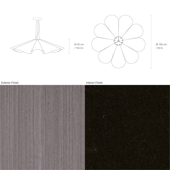 Delfina 160 Acoustic