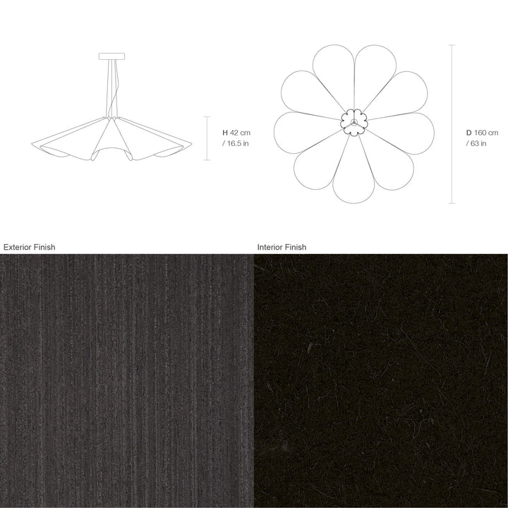 Delfina 160 Acoustic