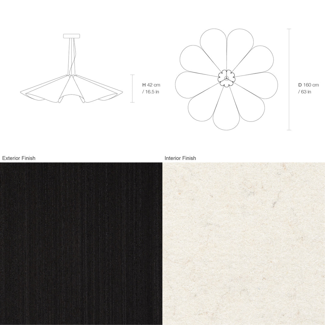 Delfina 160 Acoustic