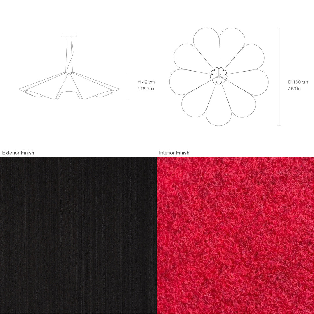 Delfina 160 Acoustic