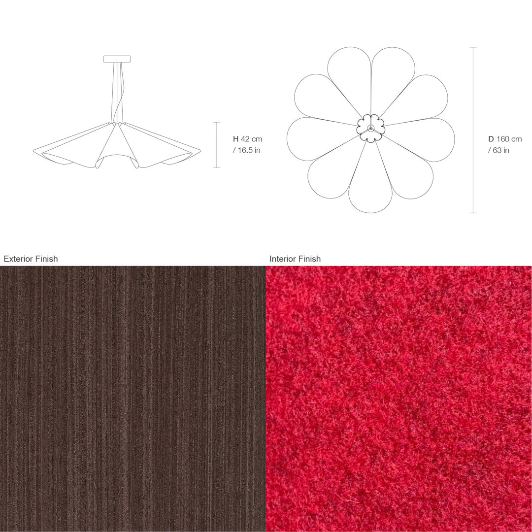 Delfina 160 Acoustic