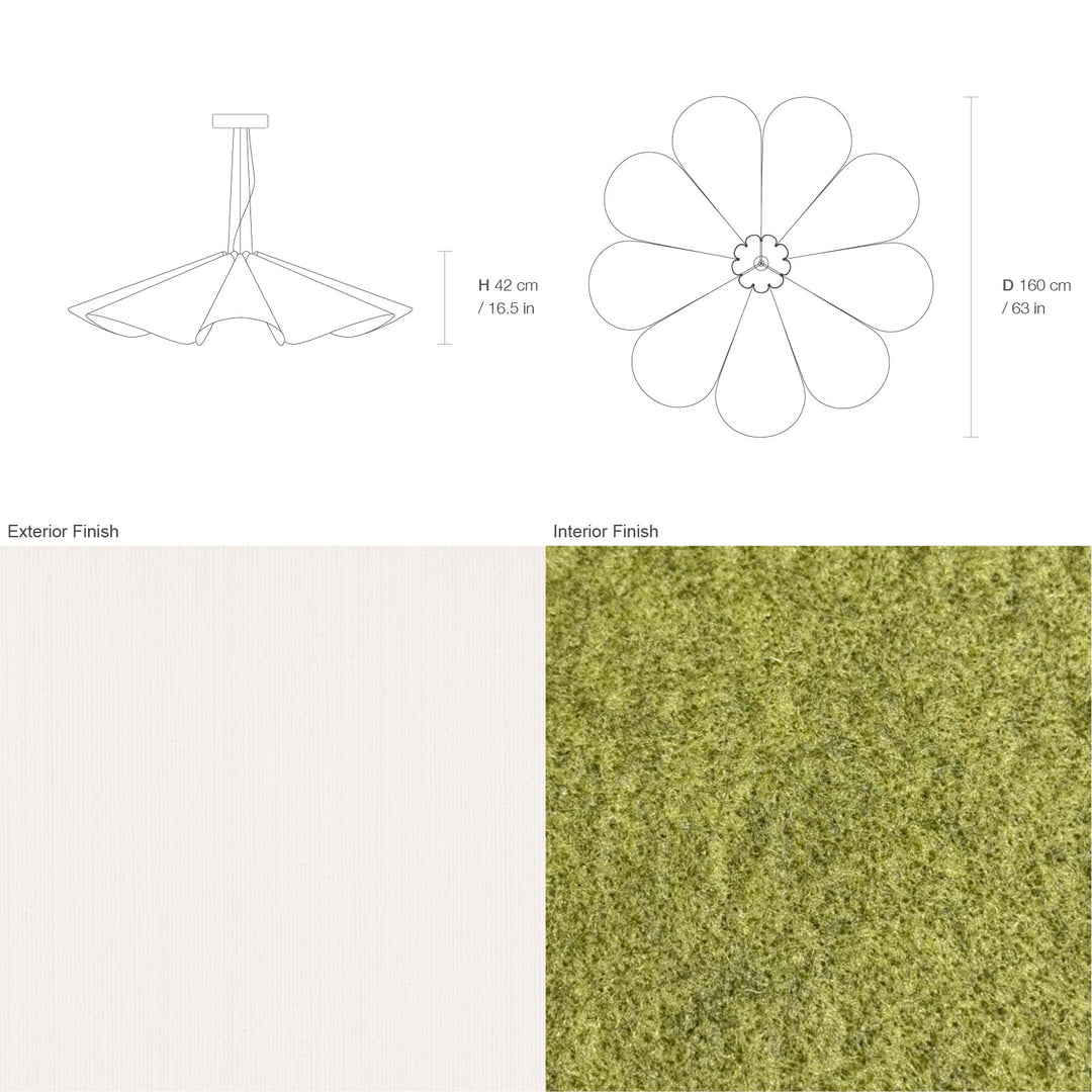 Delfina 160 Acoustic
