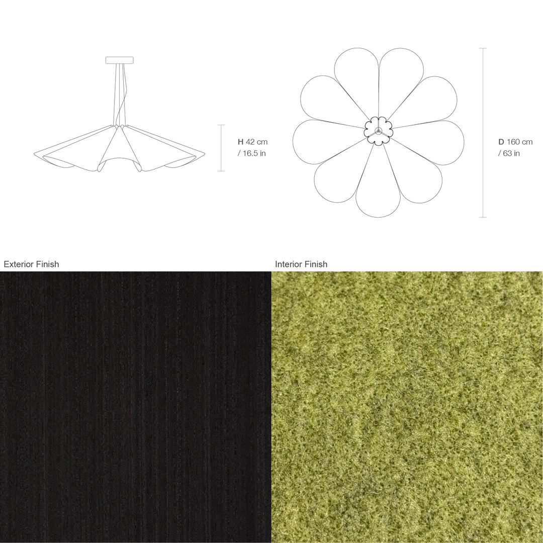 Delfina 160 Acoustic