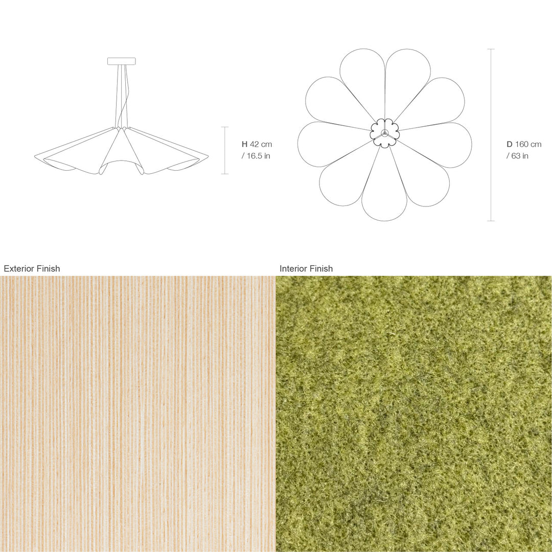 Delfina 160 Acoustic