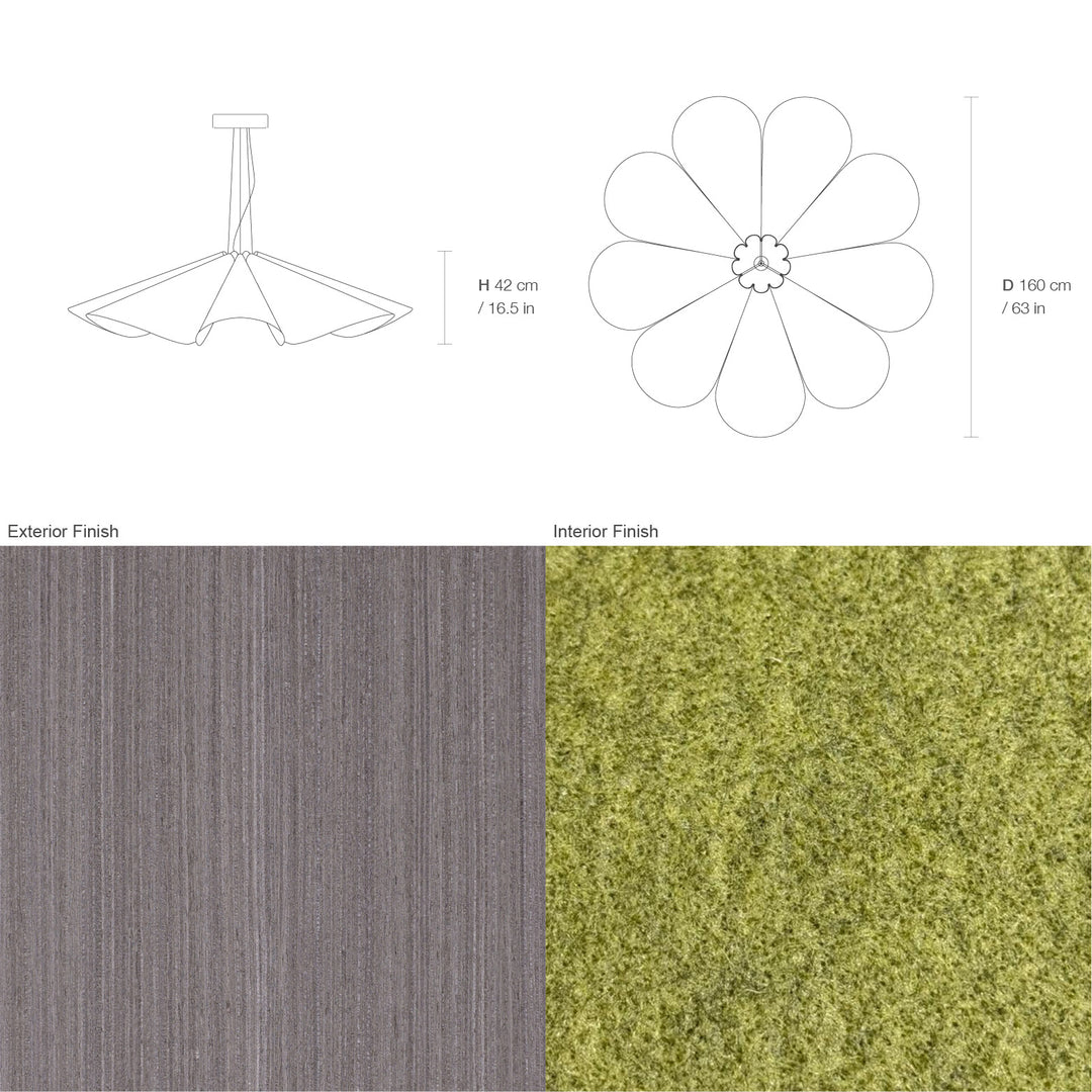 Delfina 160 Acoustic