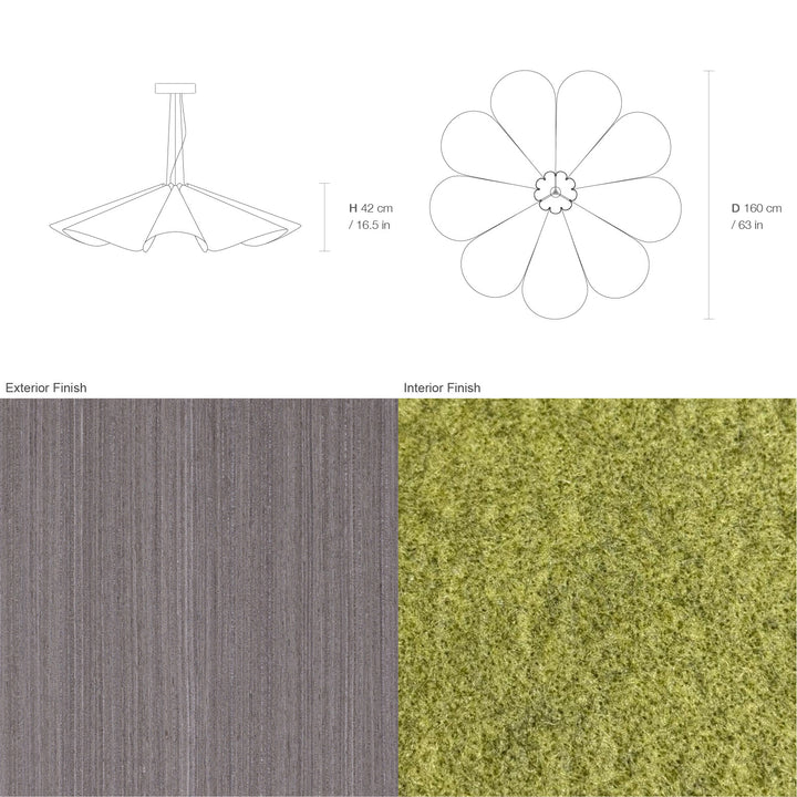 Delfina 160 Acoustic