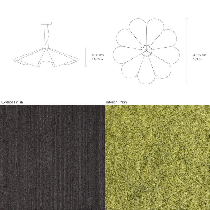 Delfina 160 Acoustic