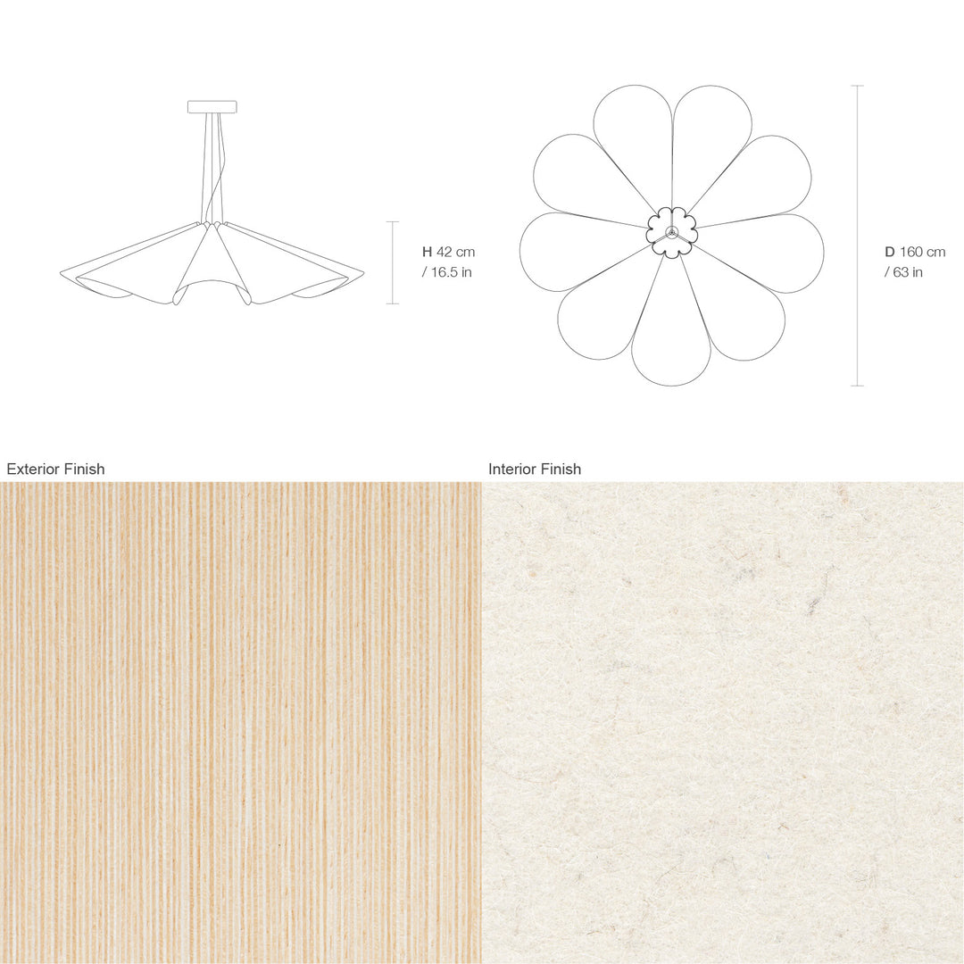 Delfina 160 Acoustic