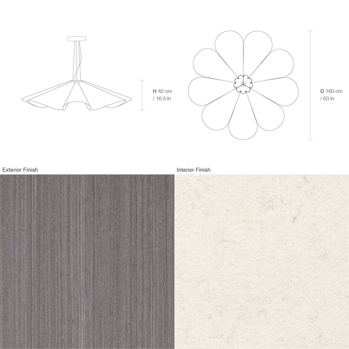 Delfina 160 Acoustic