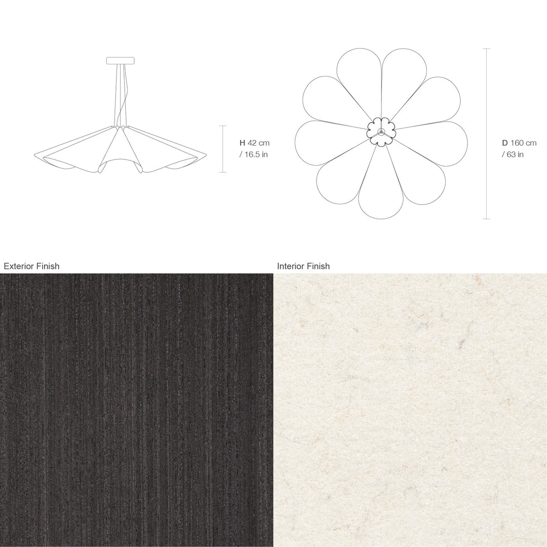 Delfina 160 Acoustic