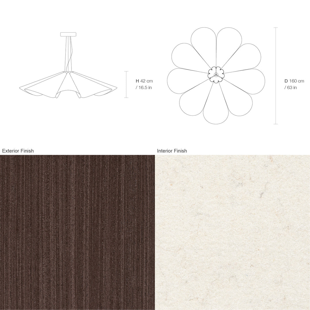 Delfina 160 Acoustic